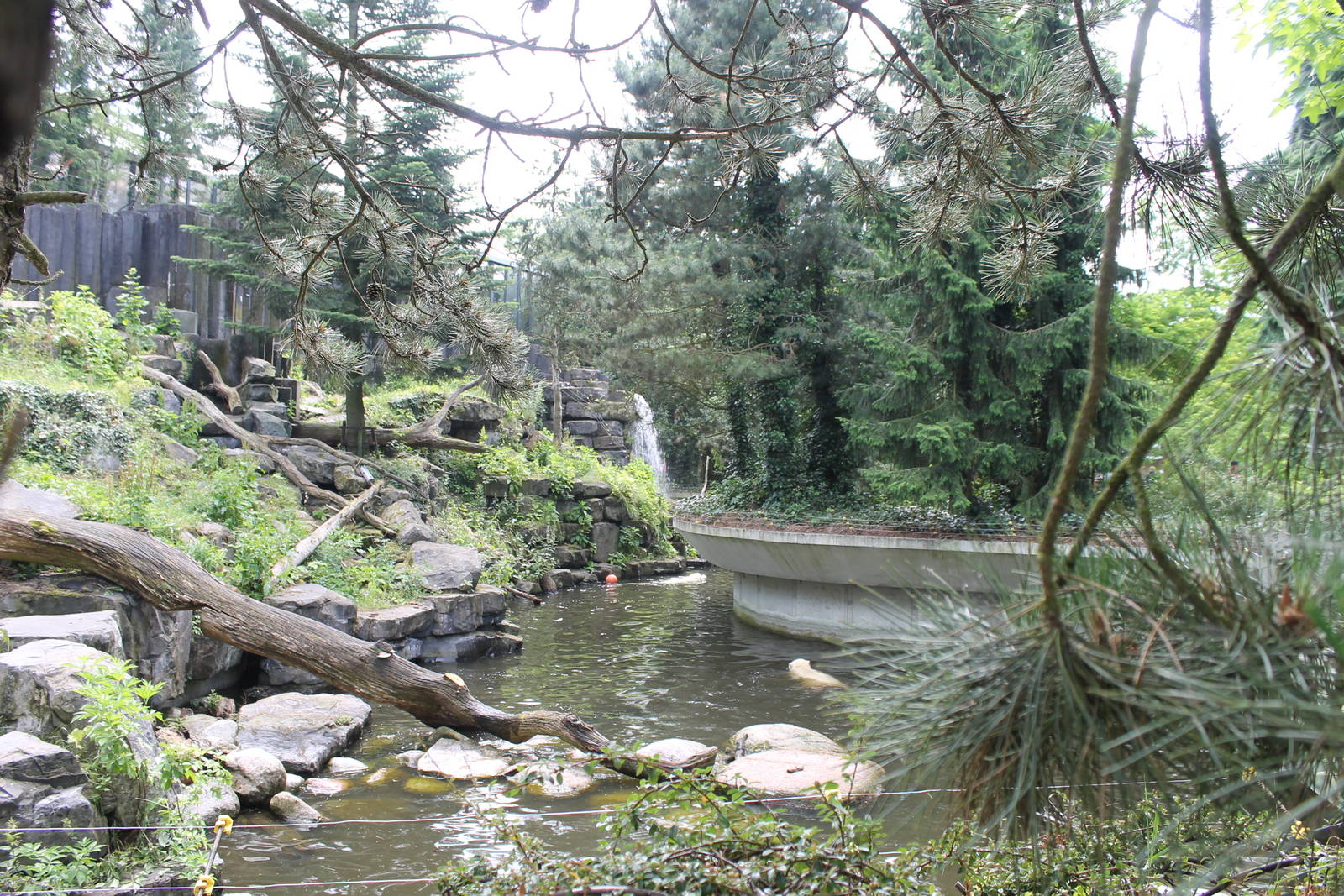 America - Bear enclosure