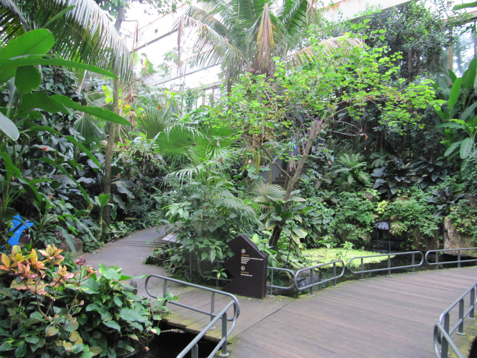 America House july 2010