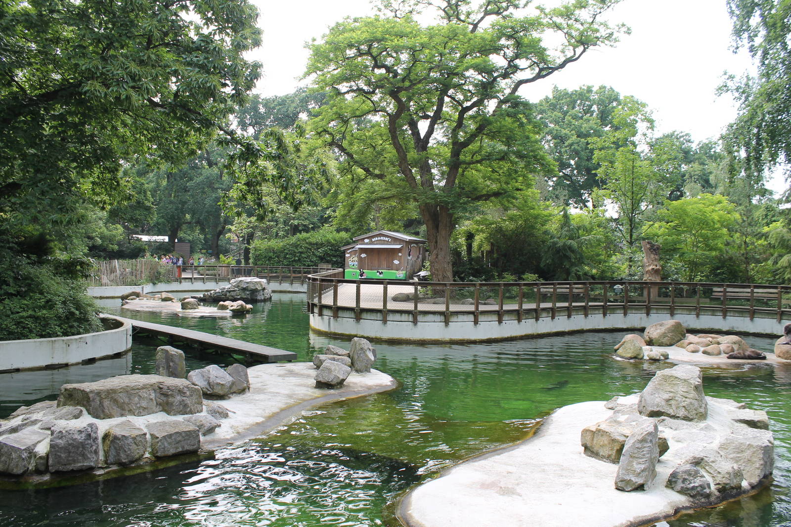 America - Pinniped enclosure