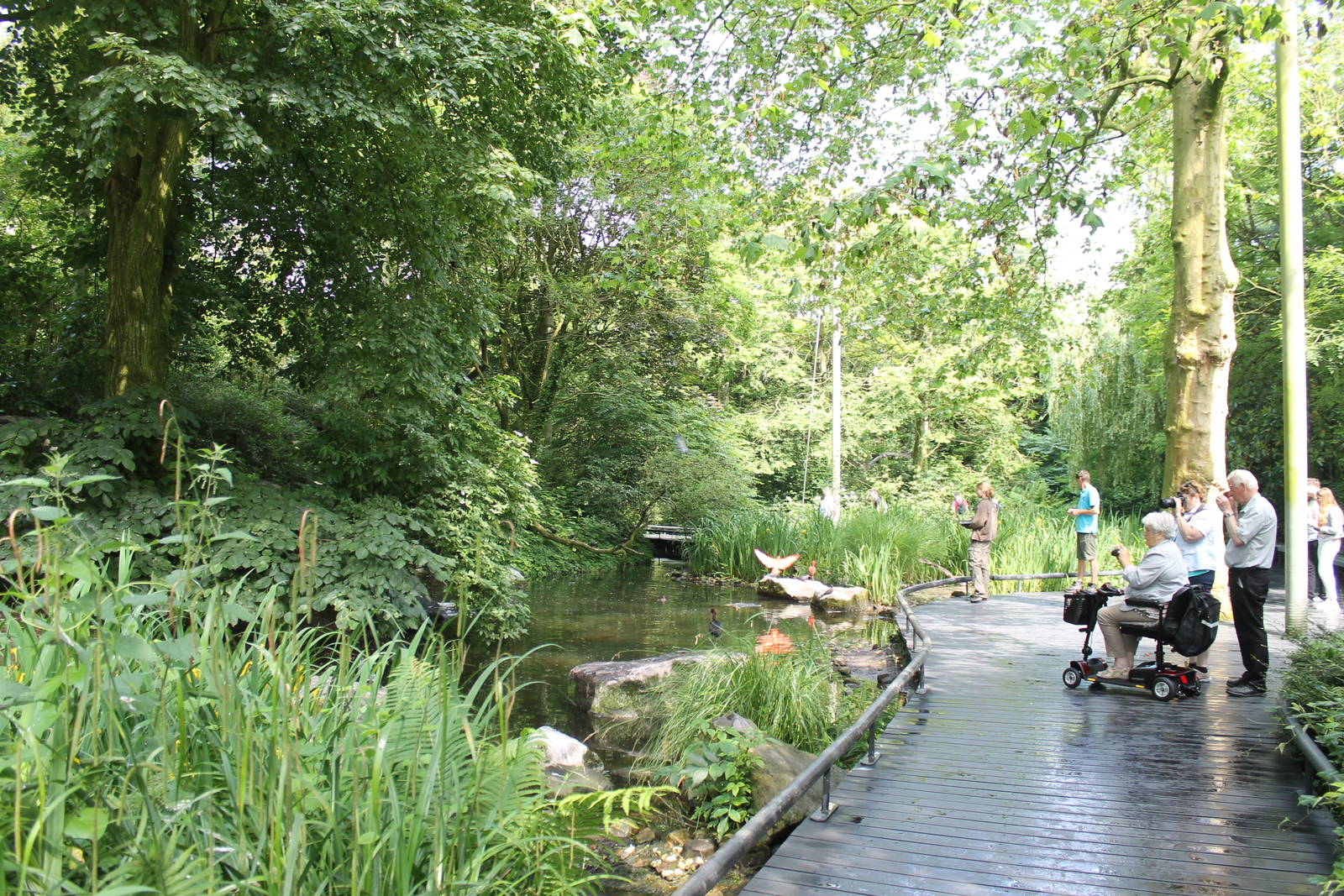 America - South-American free-flight aviary 1