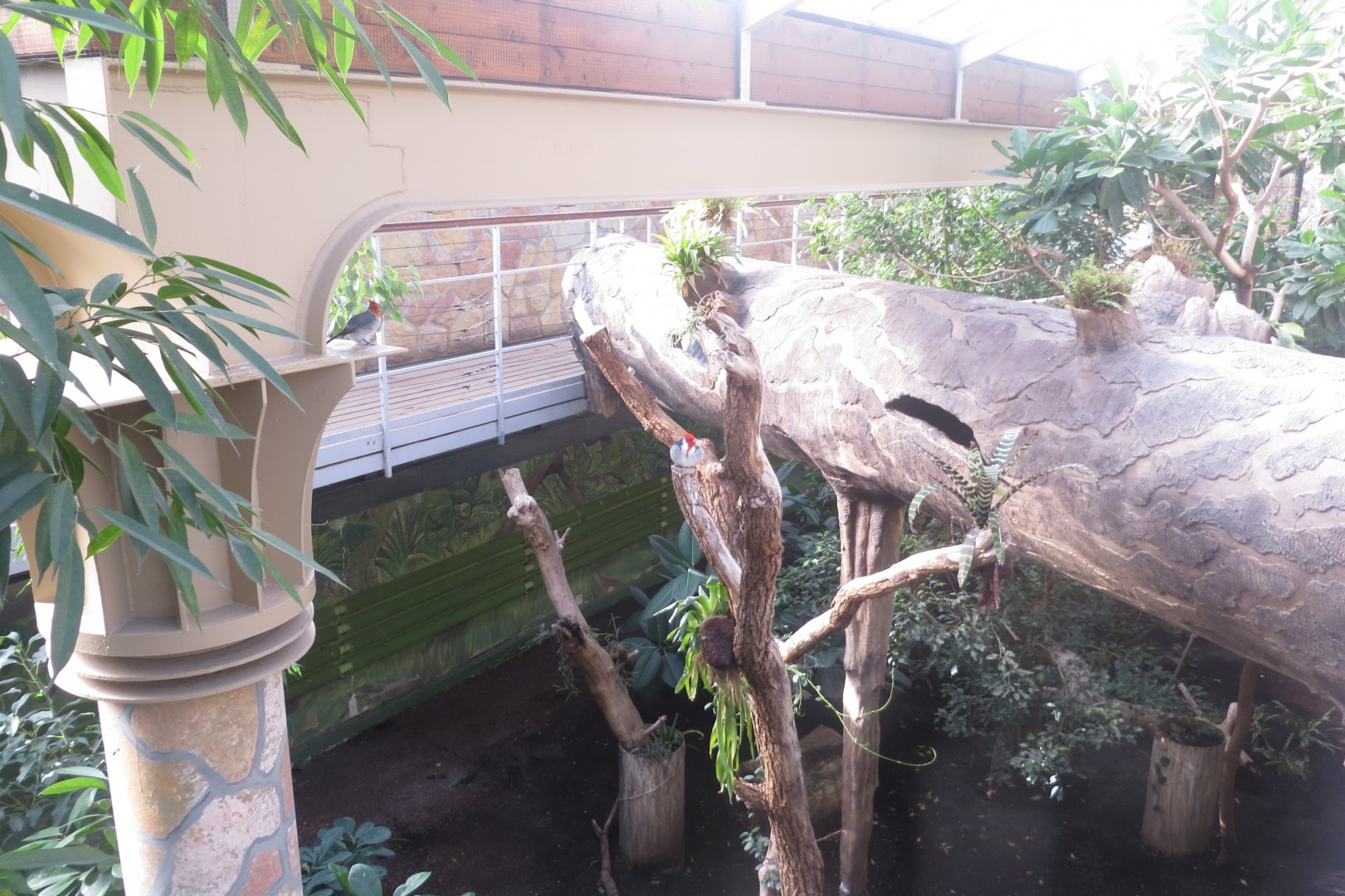 America Tropicana 171018