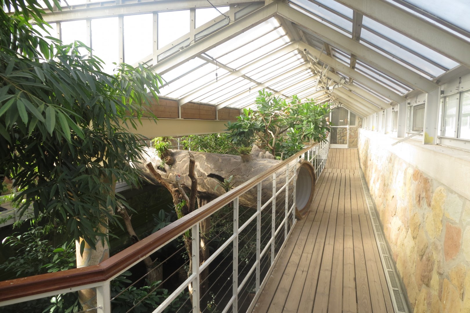 America Tropicana 171018