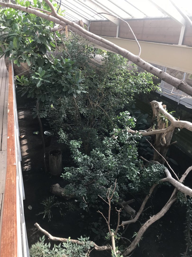 America Tropicana 171018