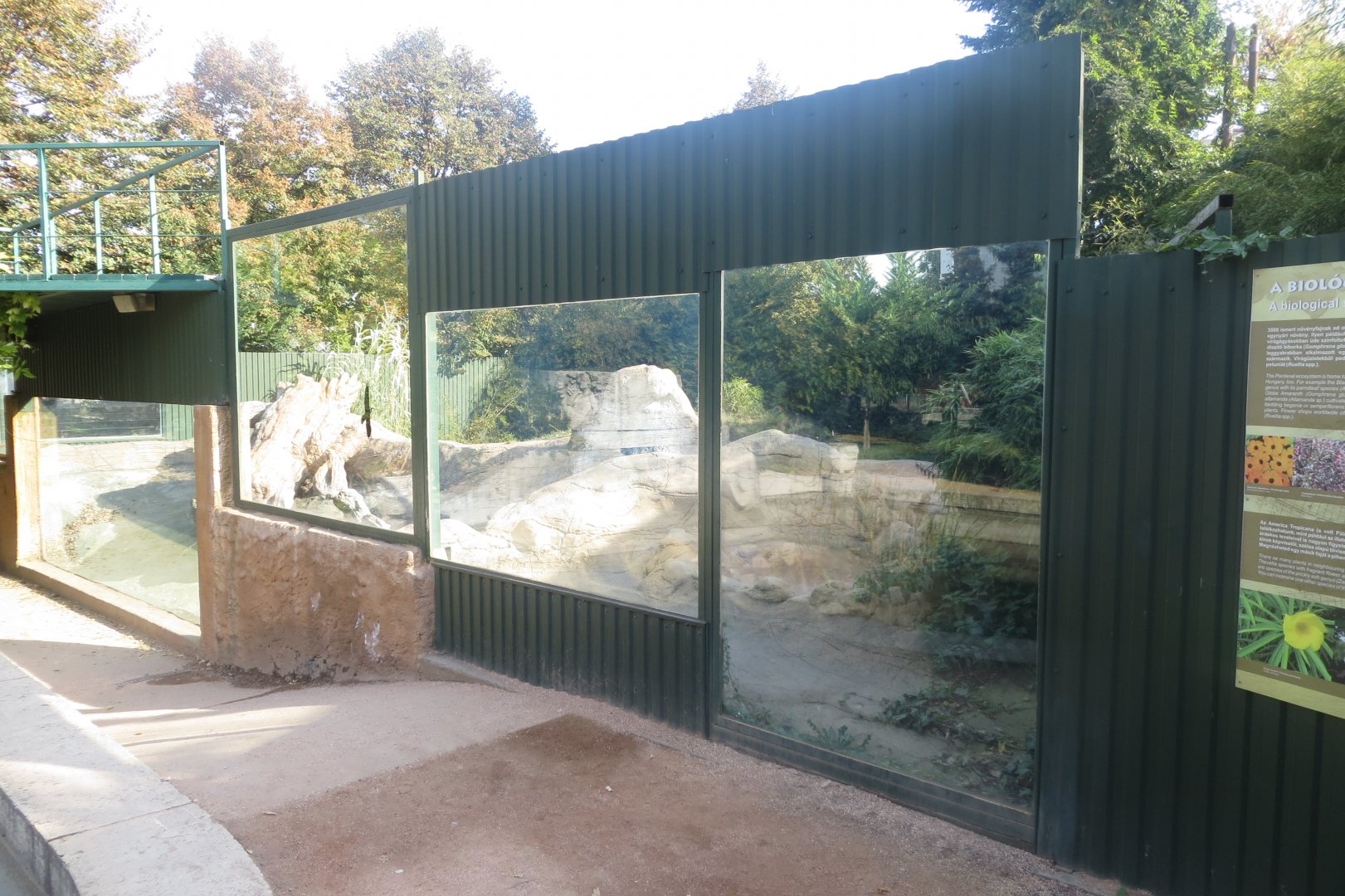 America Tropicana - Giant otter outside enclosure 171018