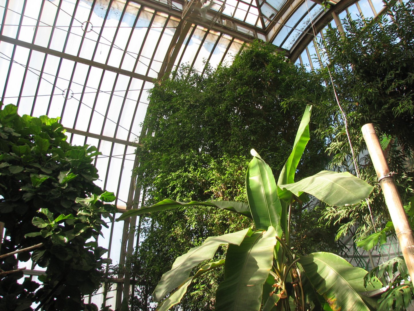 America Tropicana interior