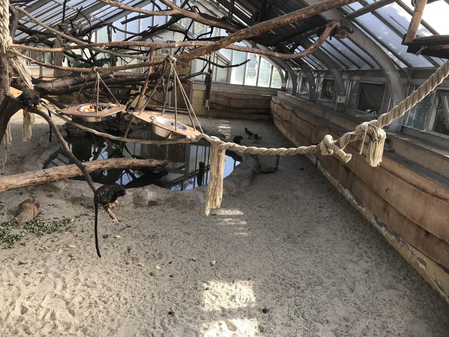 America Tropicana - Larger exhibit within one side section 171018