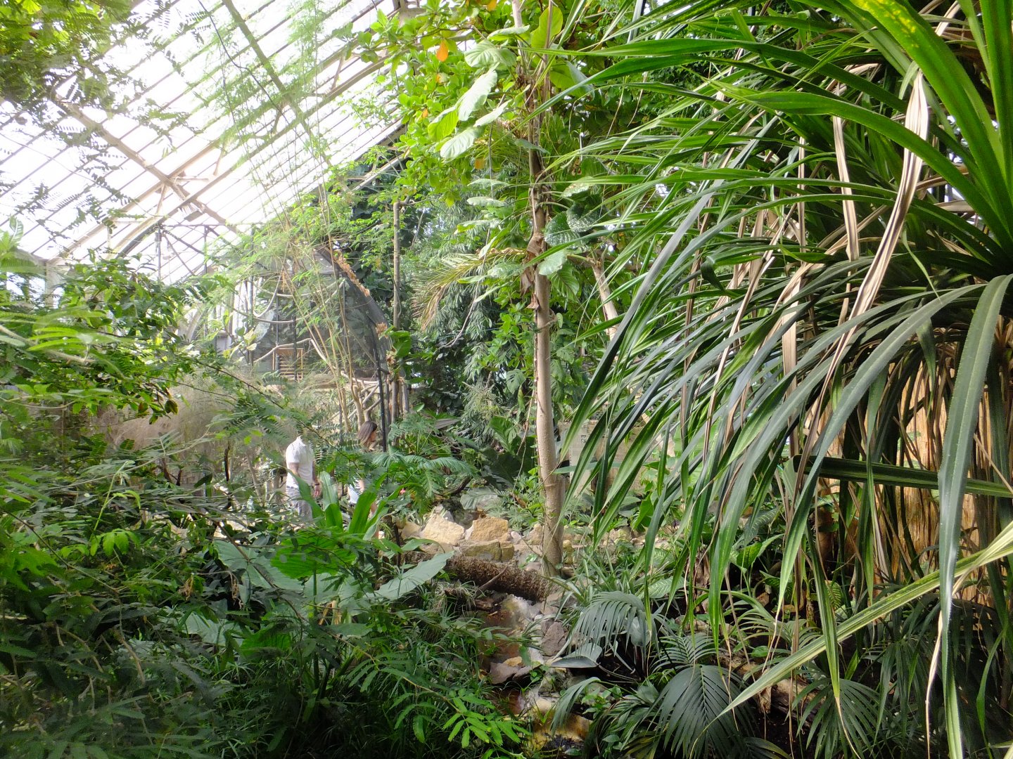 America Tropicana main hall