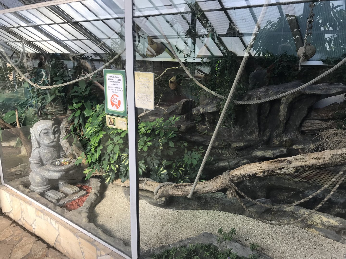 America Tropicana - Pygmy marmoset exhibit 171018