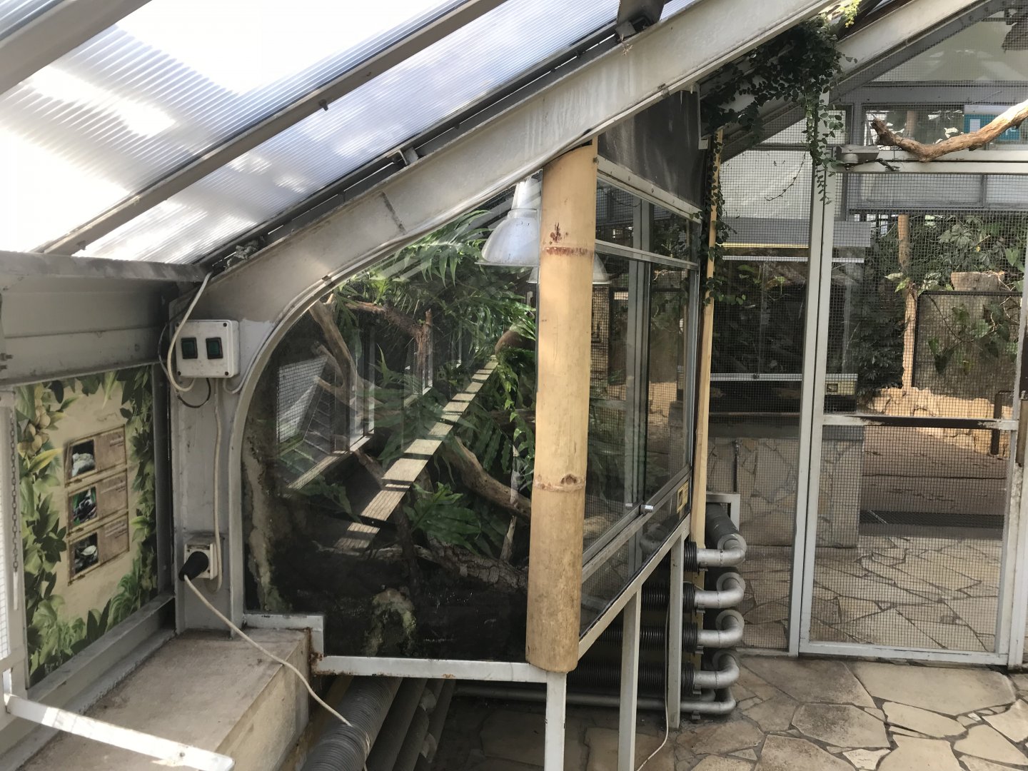 America Tropicana - Terraria 171018