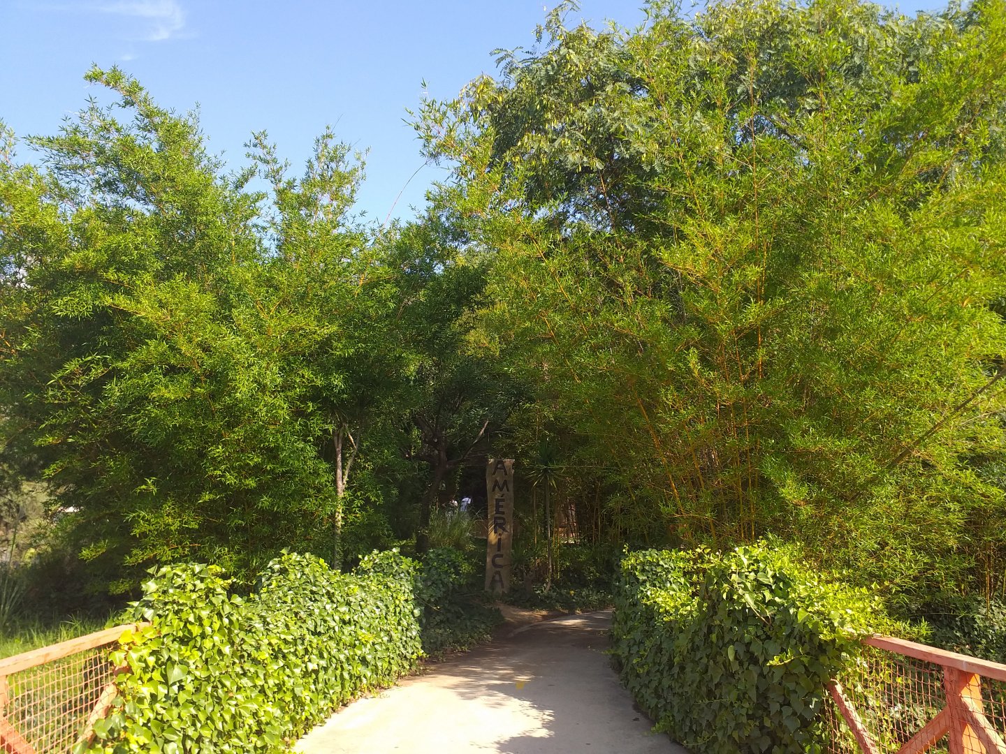 America view -TerraNatura Benidorm (2021)