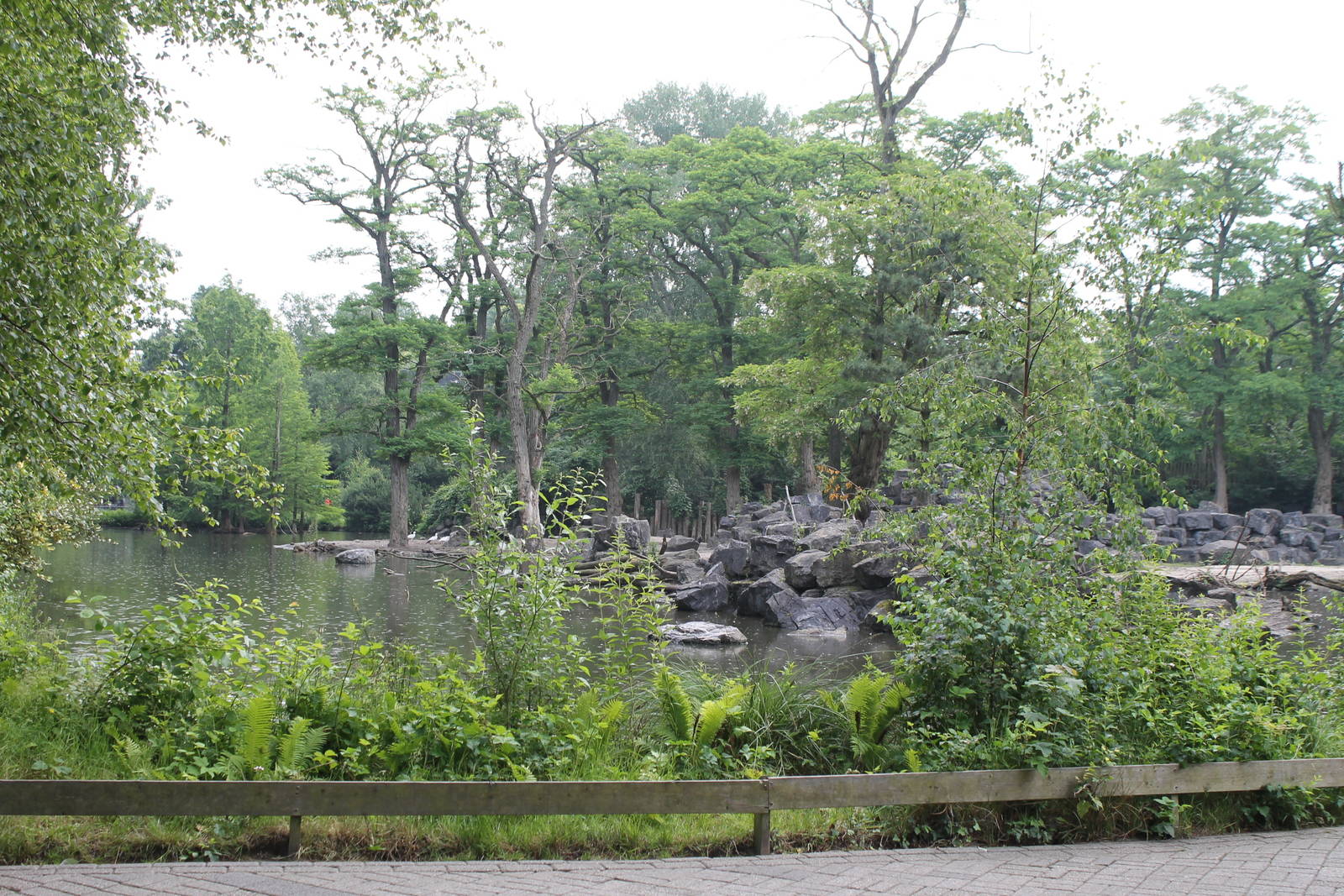 America - Wild West overview 1