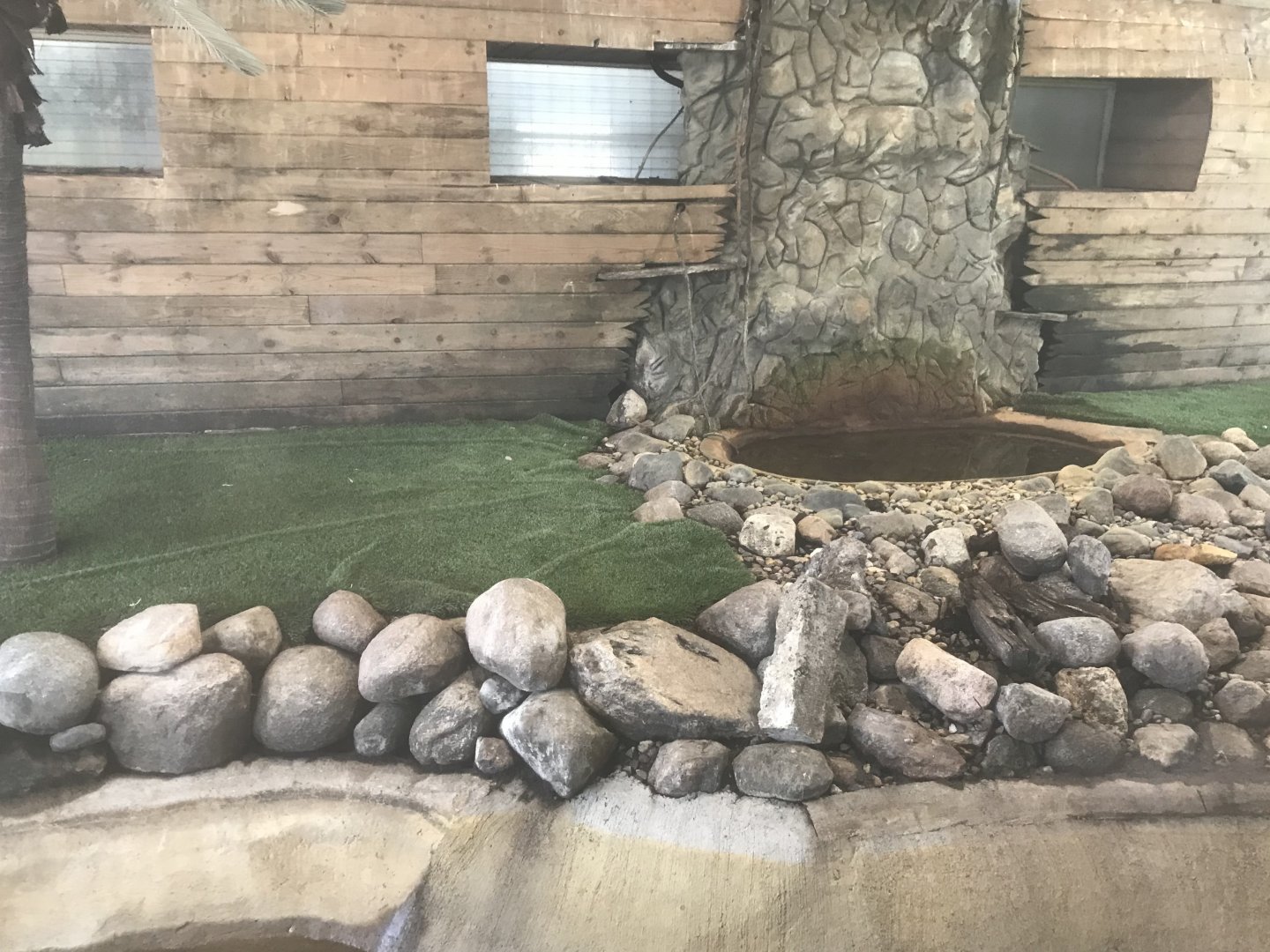 American Aligator Exhibit