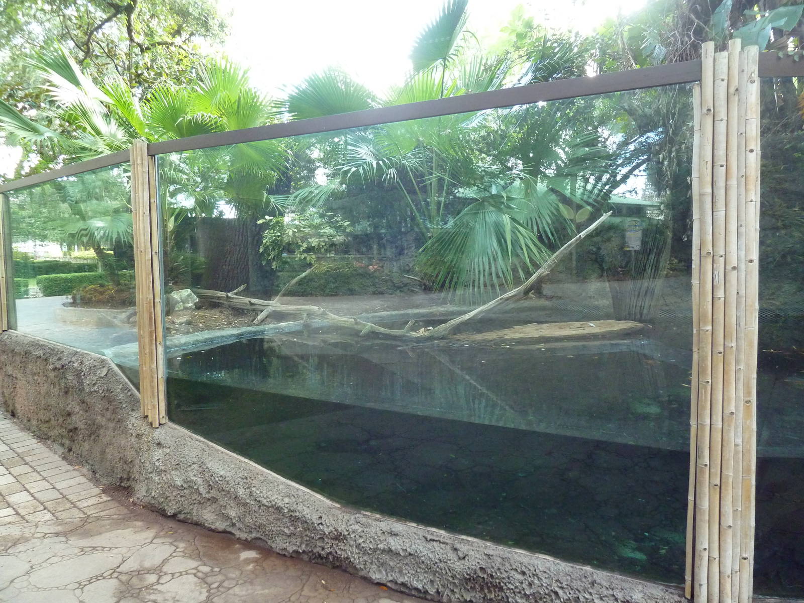 American Alligator/Alligator Snapping Turtle Exhibit