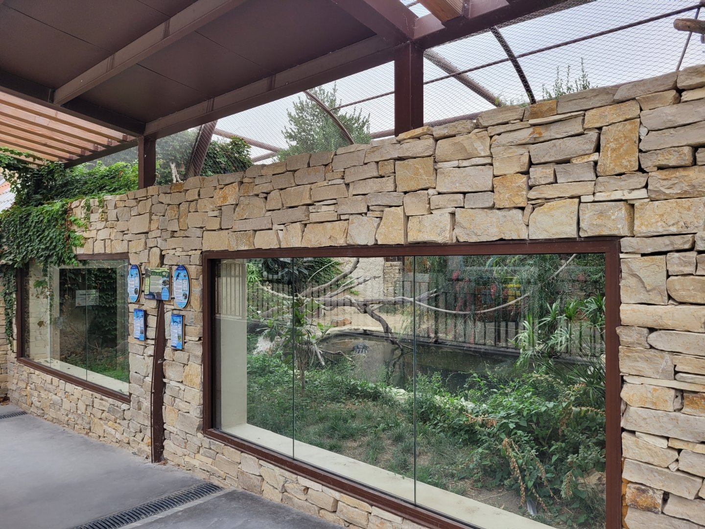 American alligator and African bird aviary -Réserve Africaine de Sigean (2022)