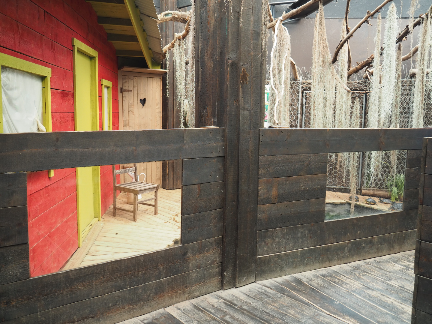 American alligator and Pond slider exhibit boardwalk, 2020-09-02