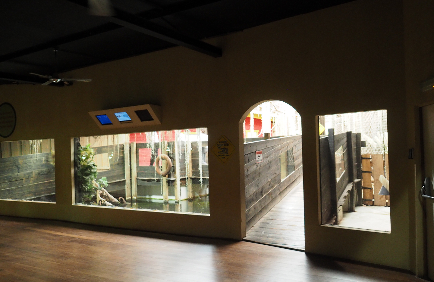 American alligator and Pond slider turtle exhibit, 2020-09-02