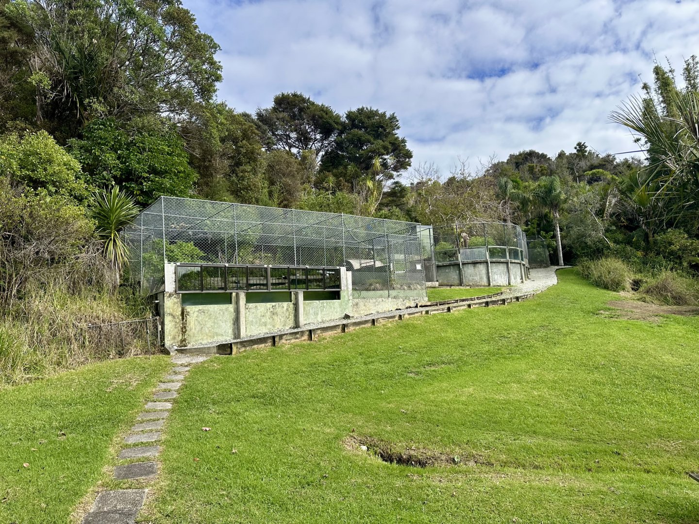 American Alligator Complex