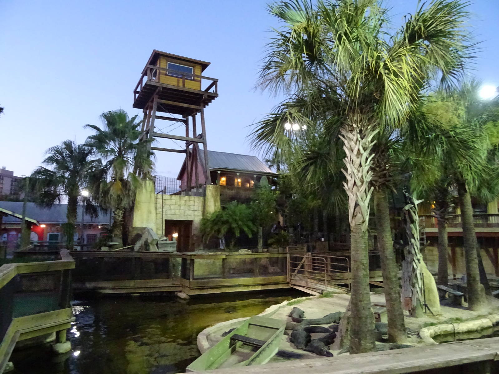 American Alligator Enclosure at Gator Golf - 28/08/2014