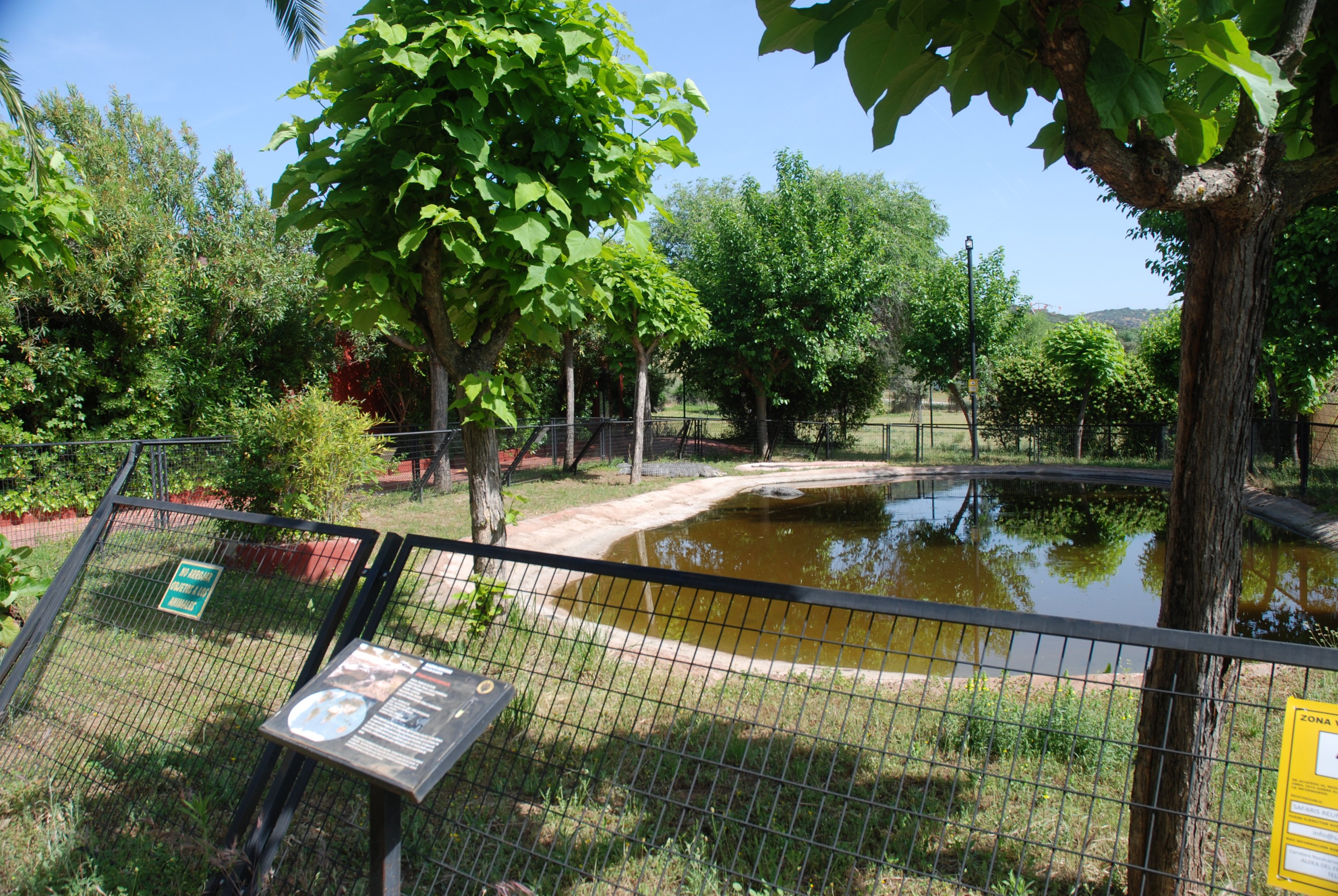 American Alligator Enclosure at Safari Madrid, 19th May 2022
