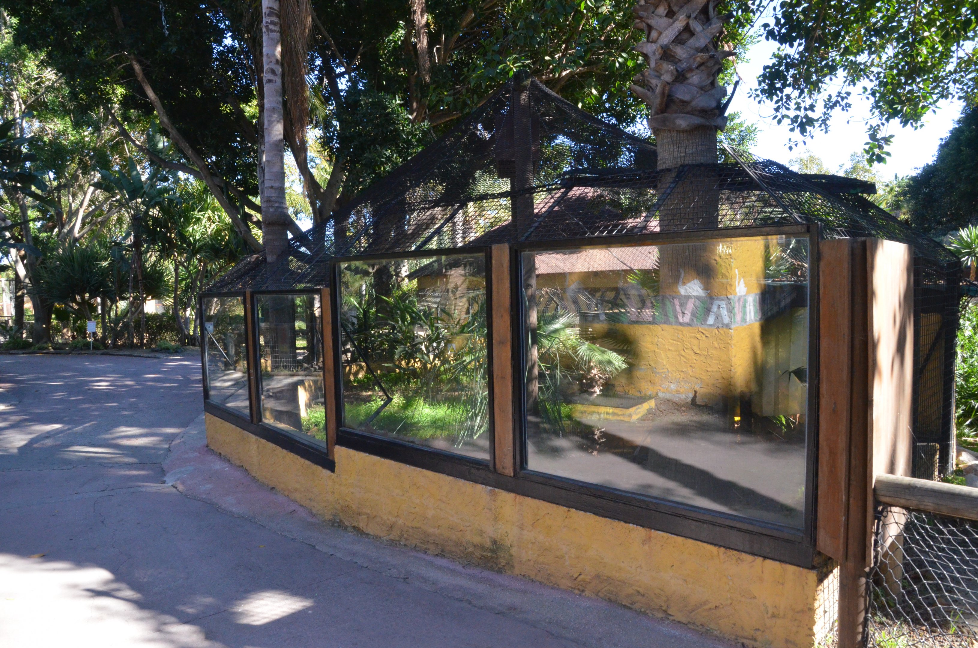 American Alligator Enclosure at Selwo Aventura, 13/03/19