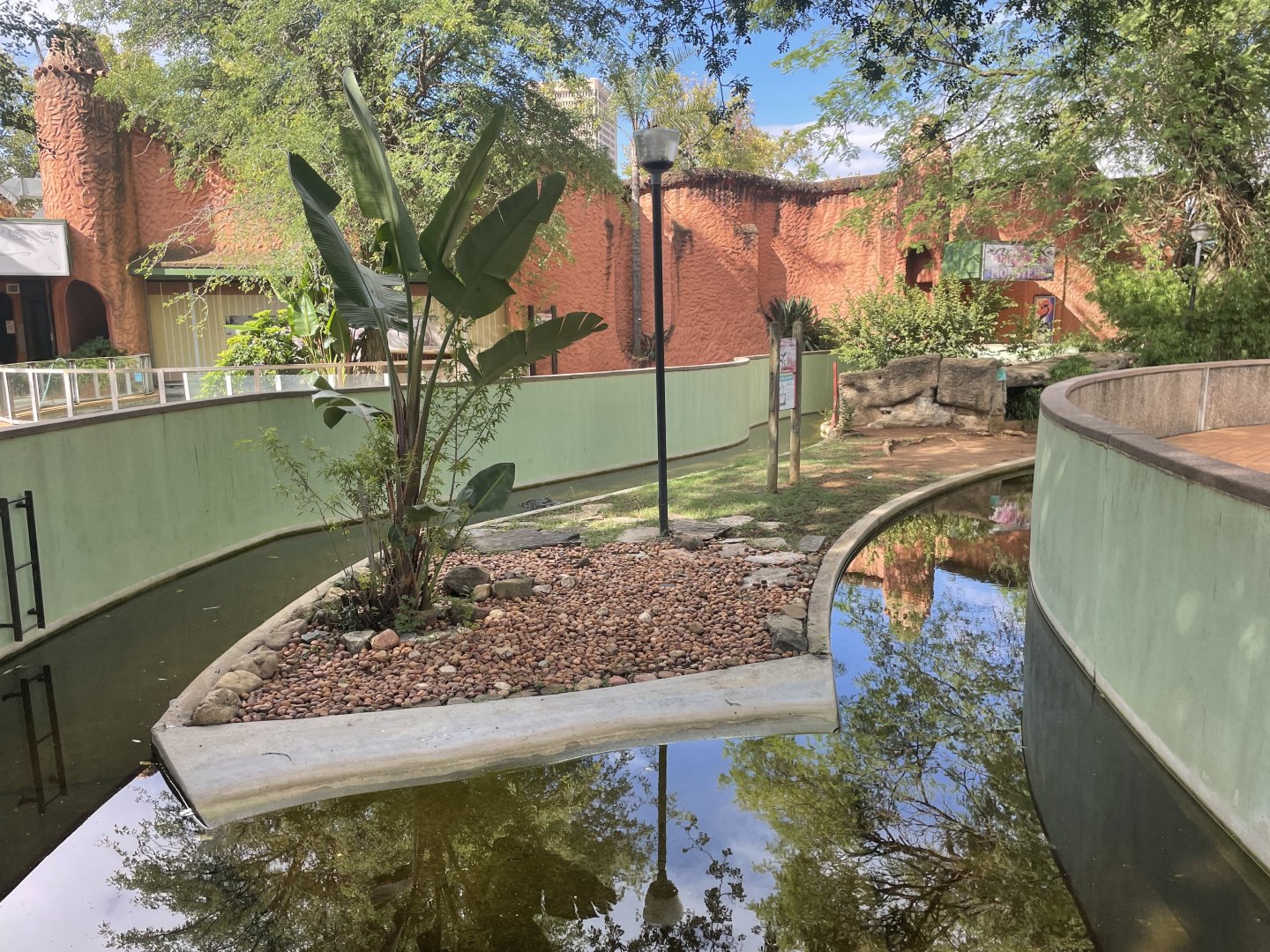 American Alligator Exhibit (Alligator mississippiensis)