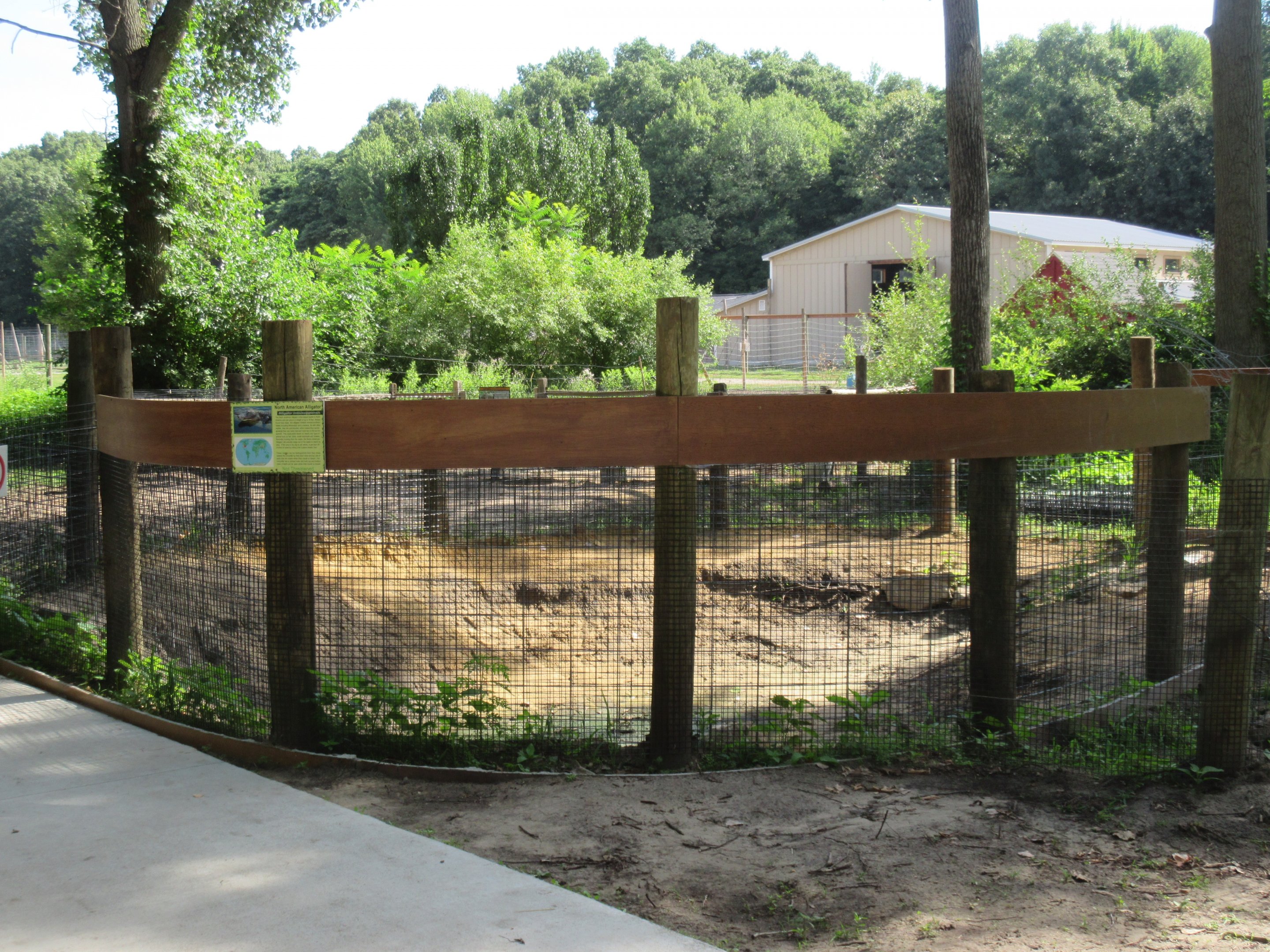 American Alligator Exhibit (currently empty)