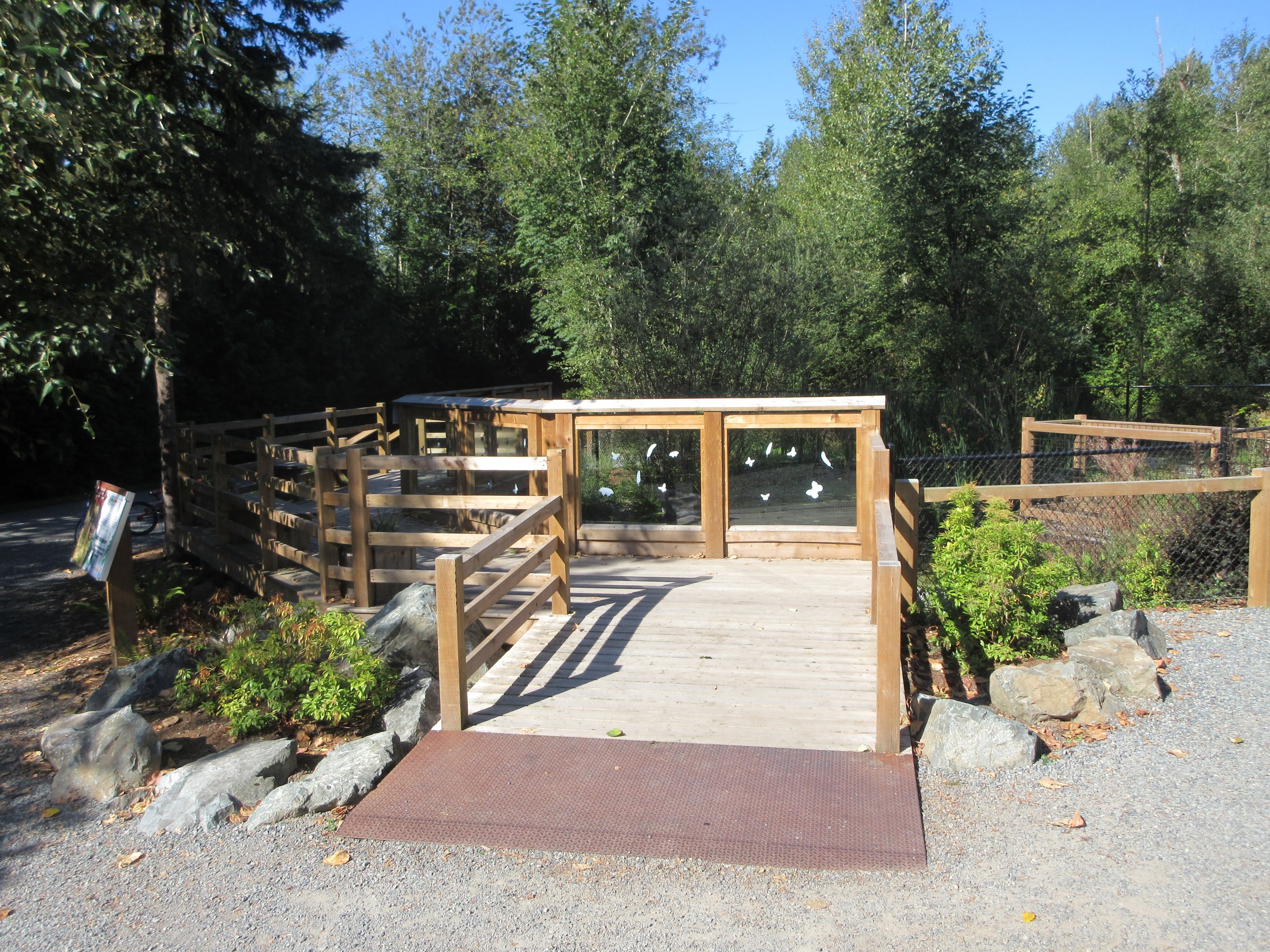 American Alligator Exhibit (New in 2019)