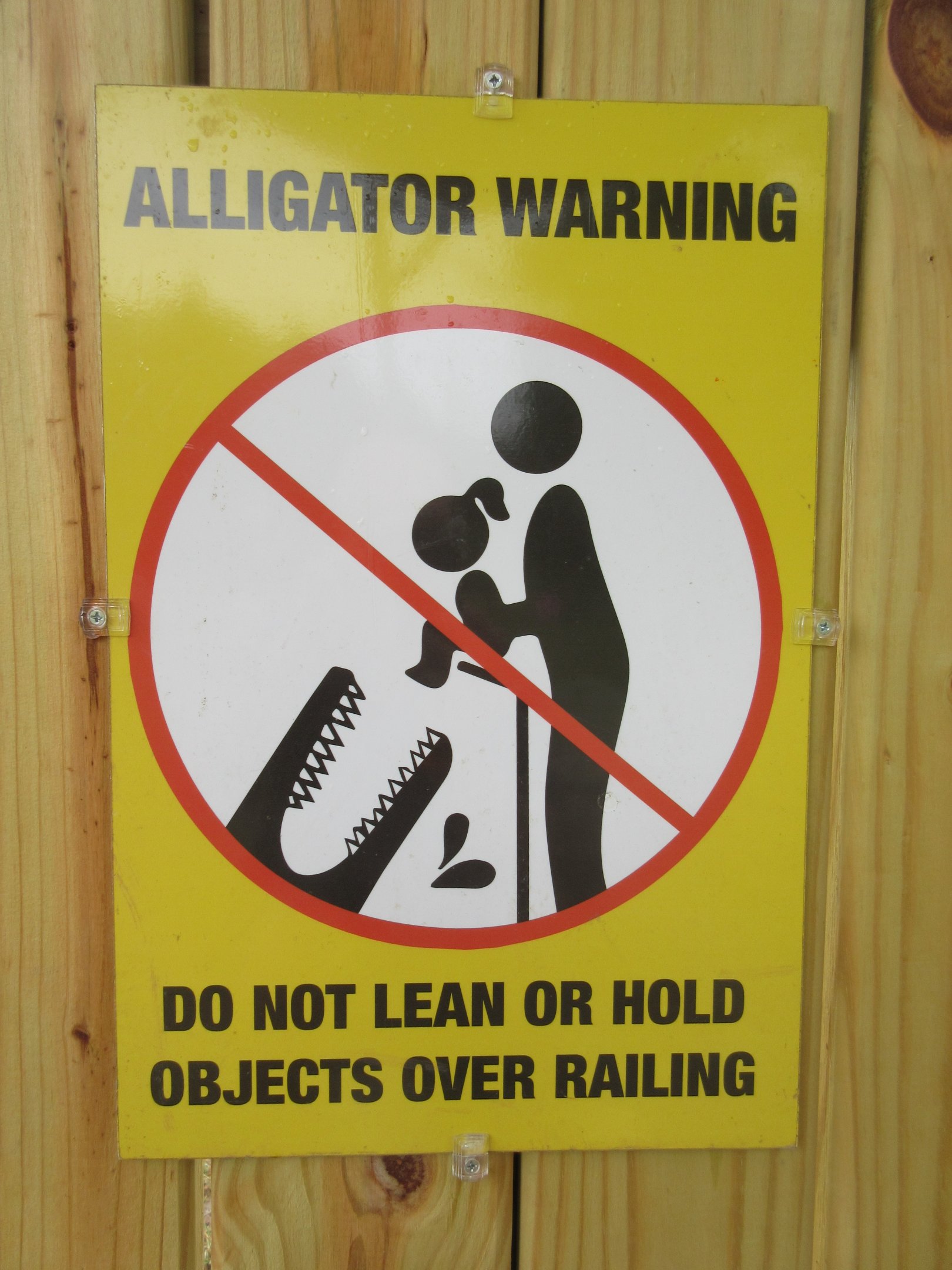 American Alligator Exhibit - Sign