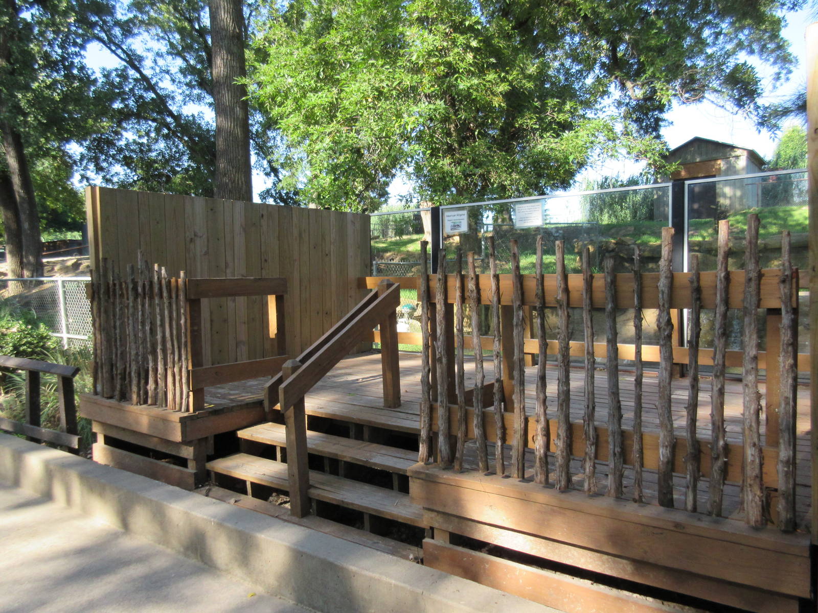 American Alligator Exhibit - Viewing Platform