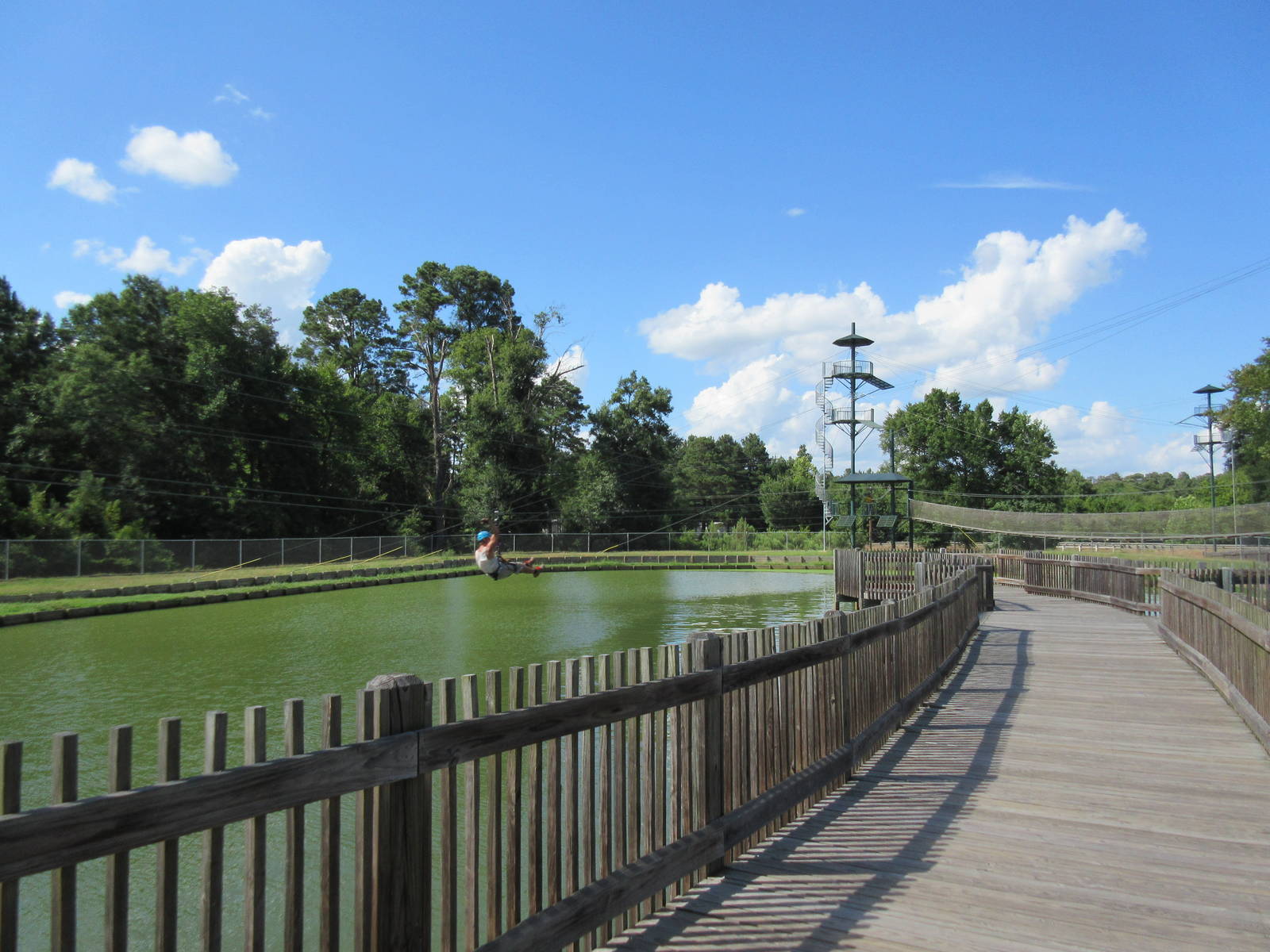 American Alligator Exhibit - Visitor On Zipline