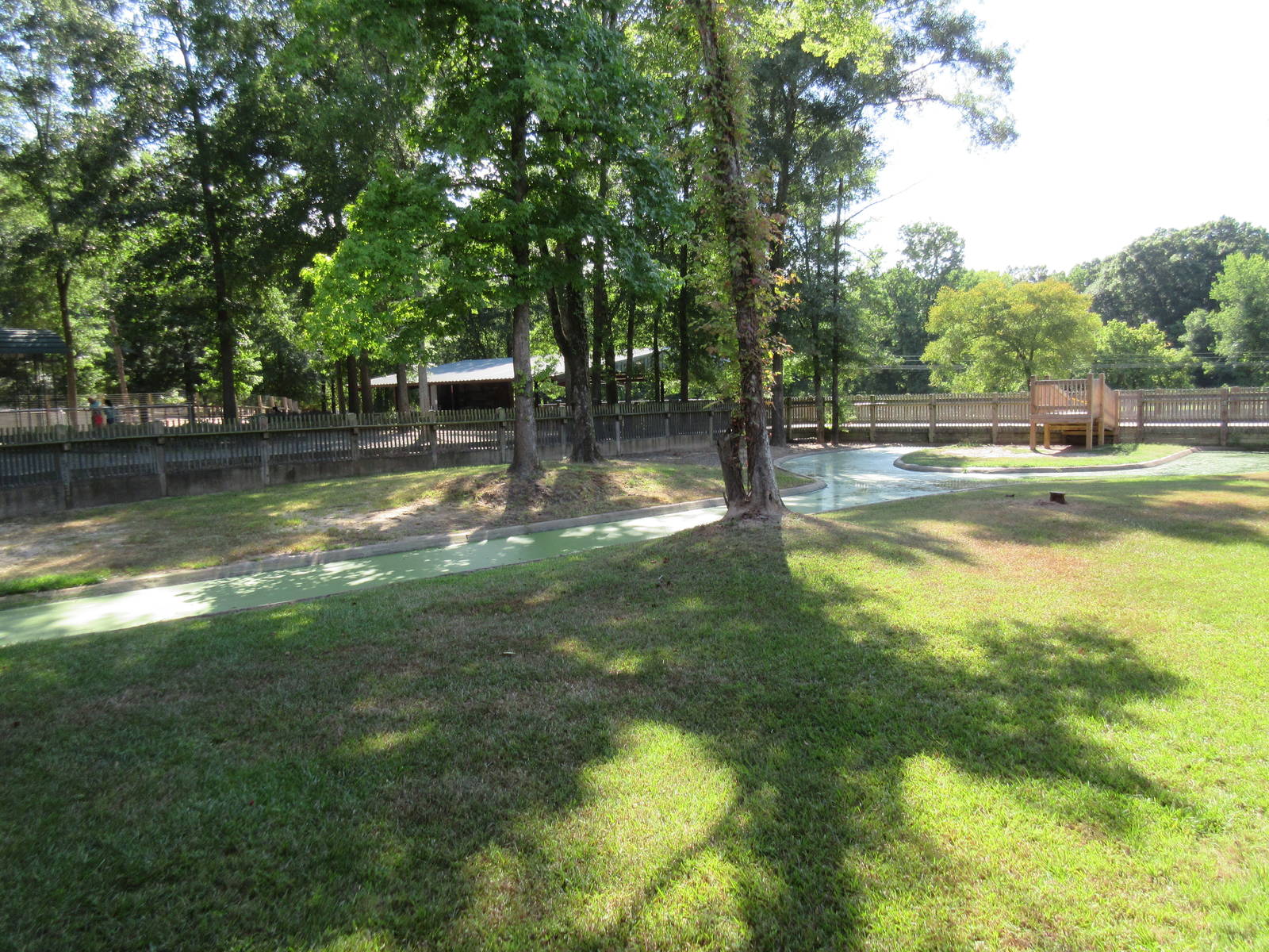 American Alligator Exhibit