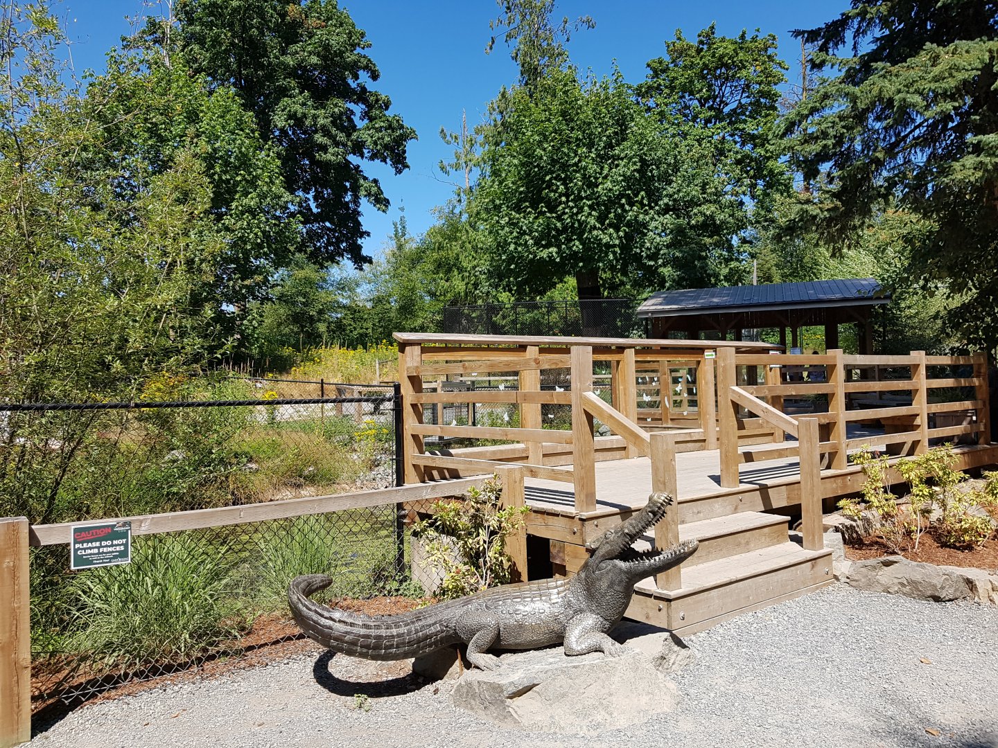 American Alligator Exhibit