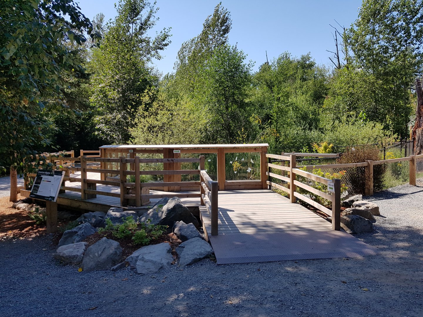 American Alligator Exhibit