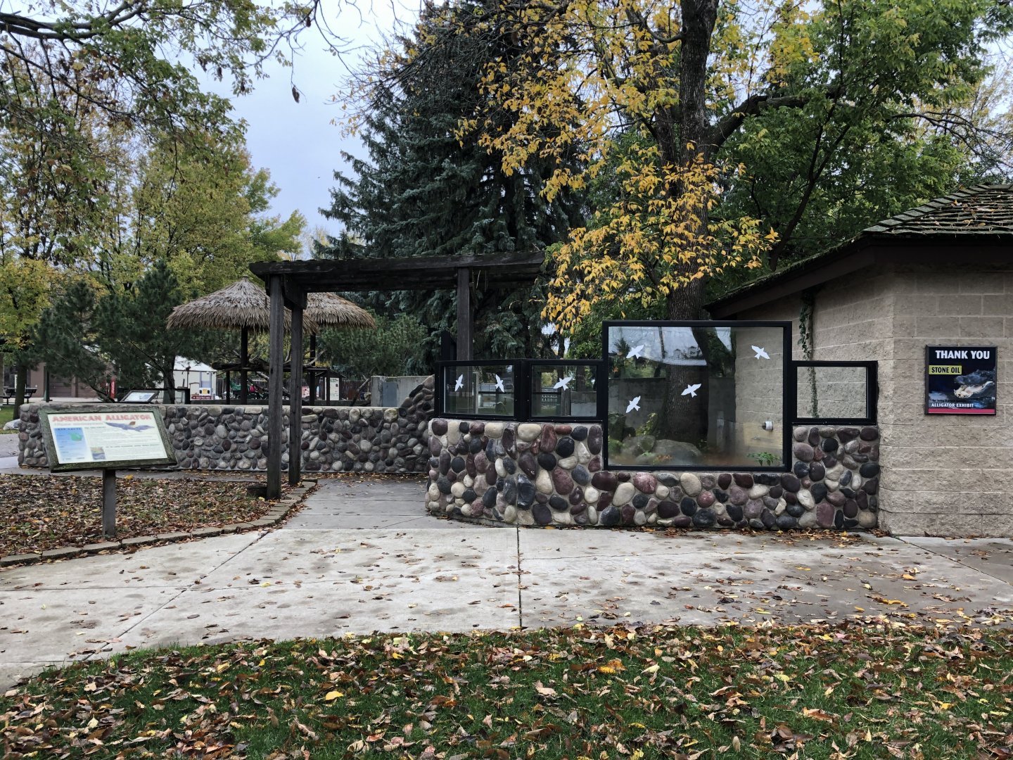 American Alligator exhibit
