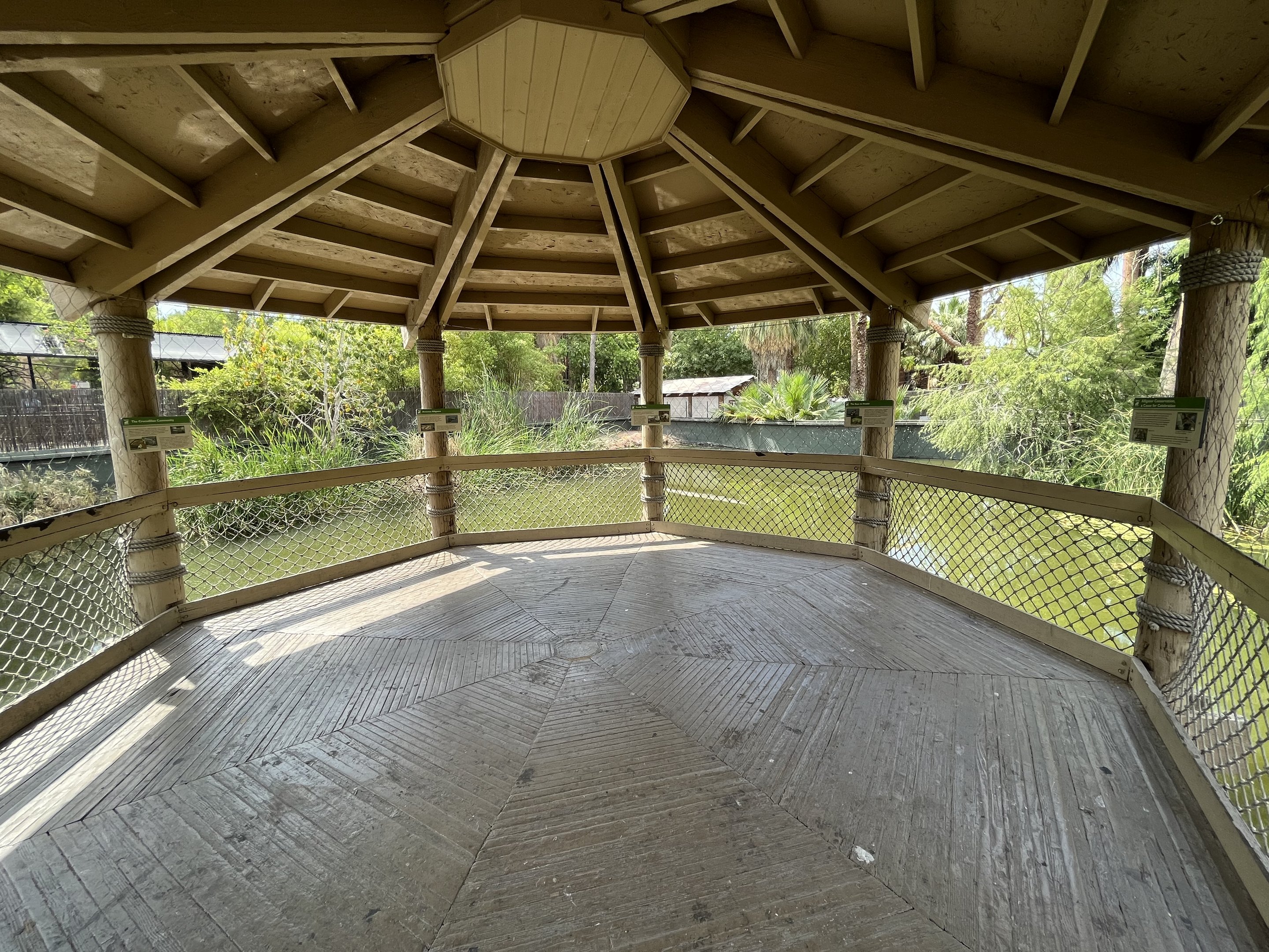 American Alligator Exhibit