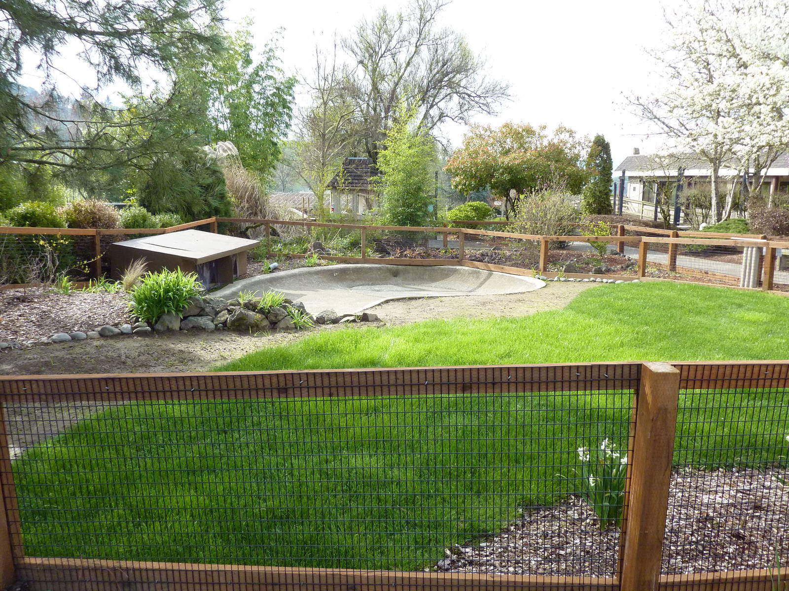 American Alligator Exhibit