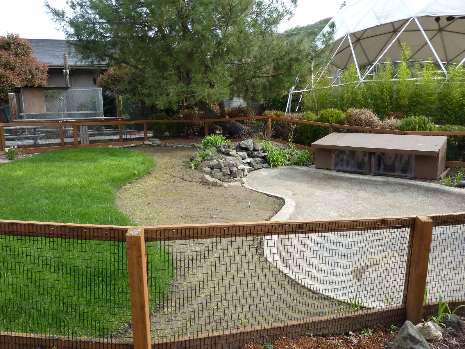 American Alligator Exhibit