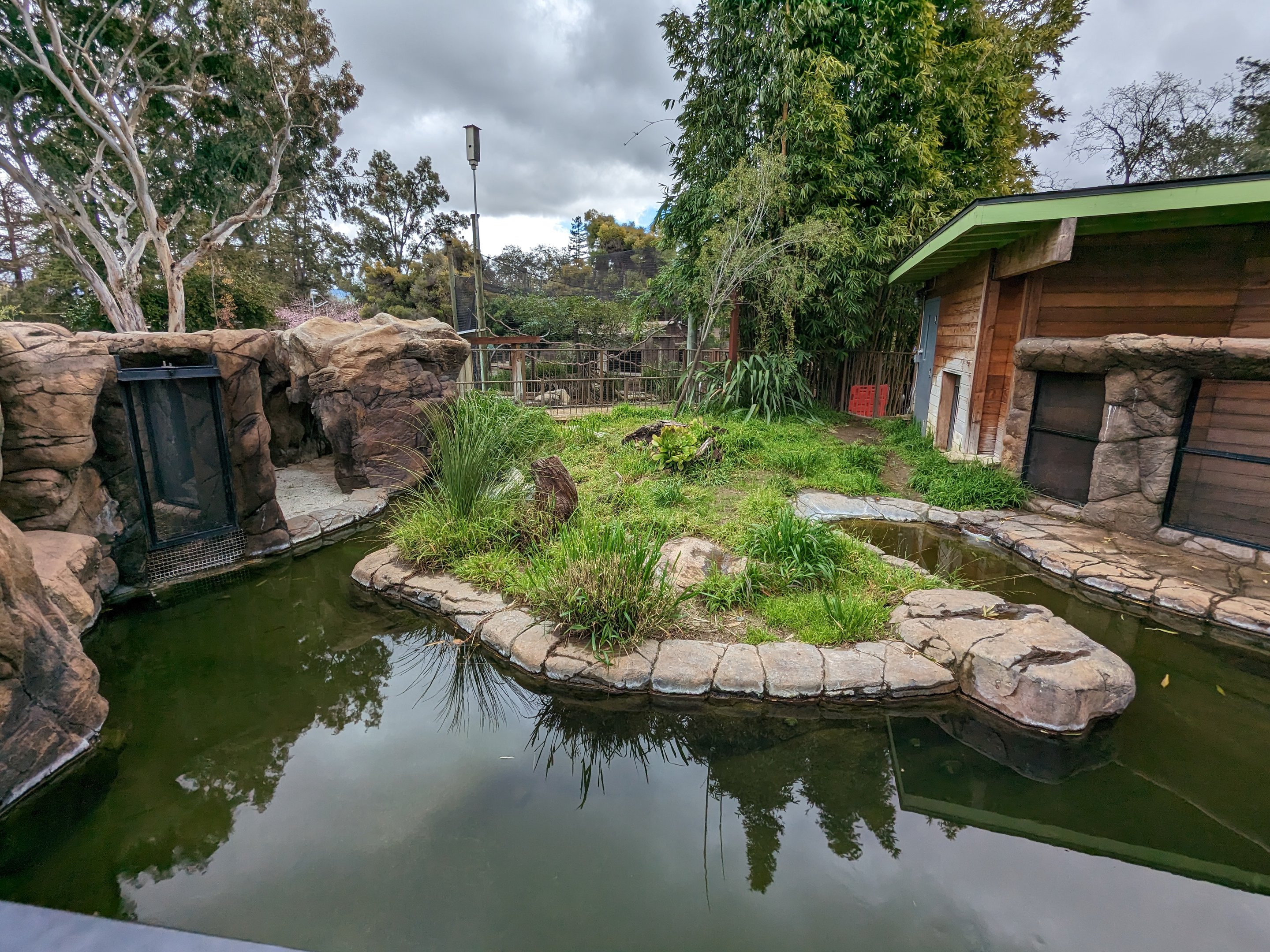 American alligator habitat