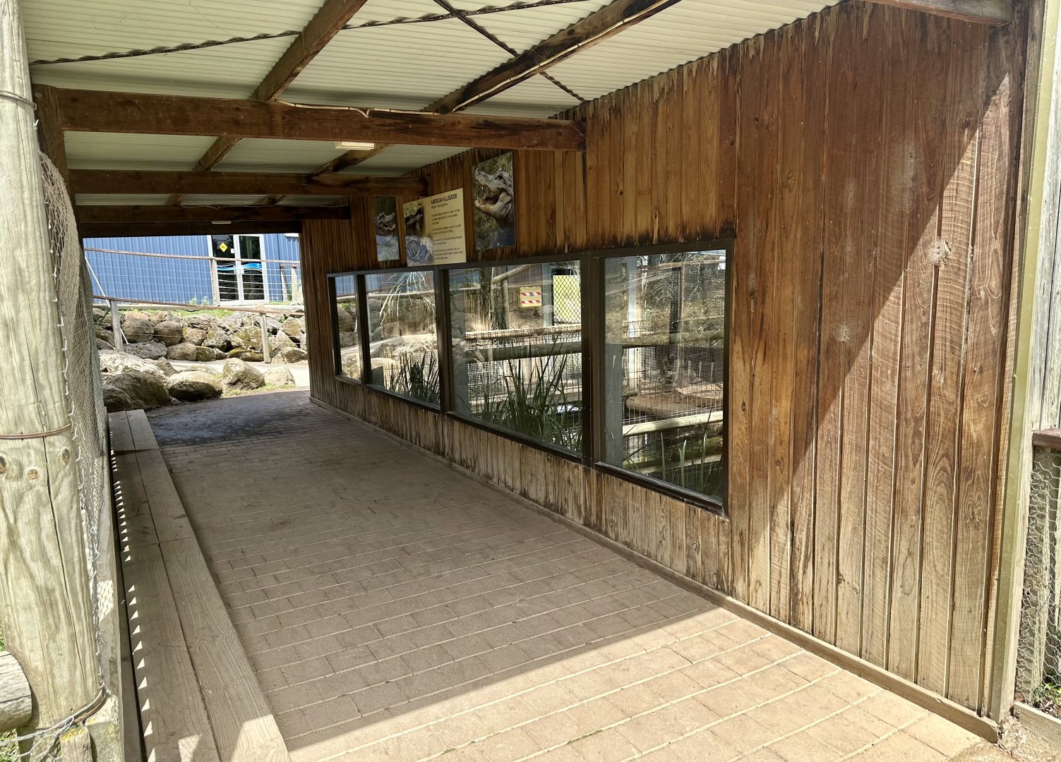 American Alligator House