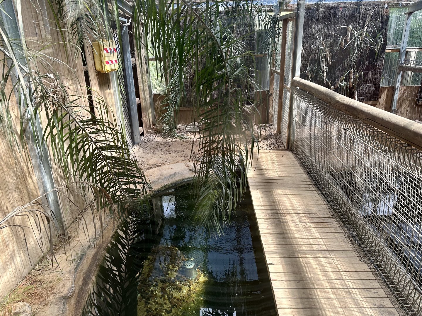 American Alligator Indoor Pool