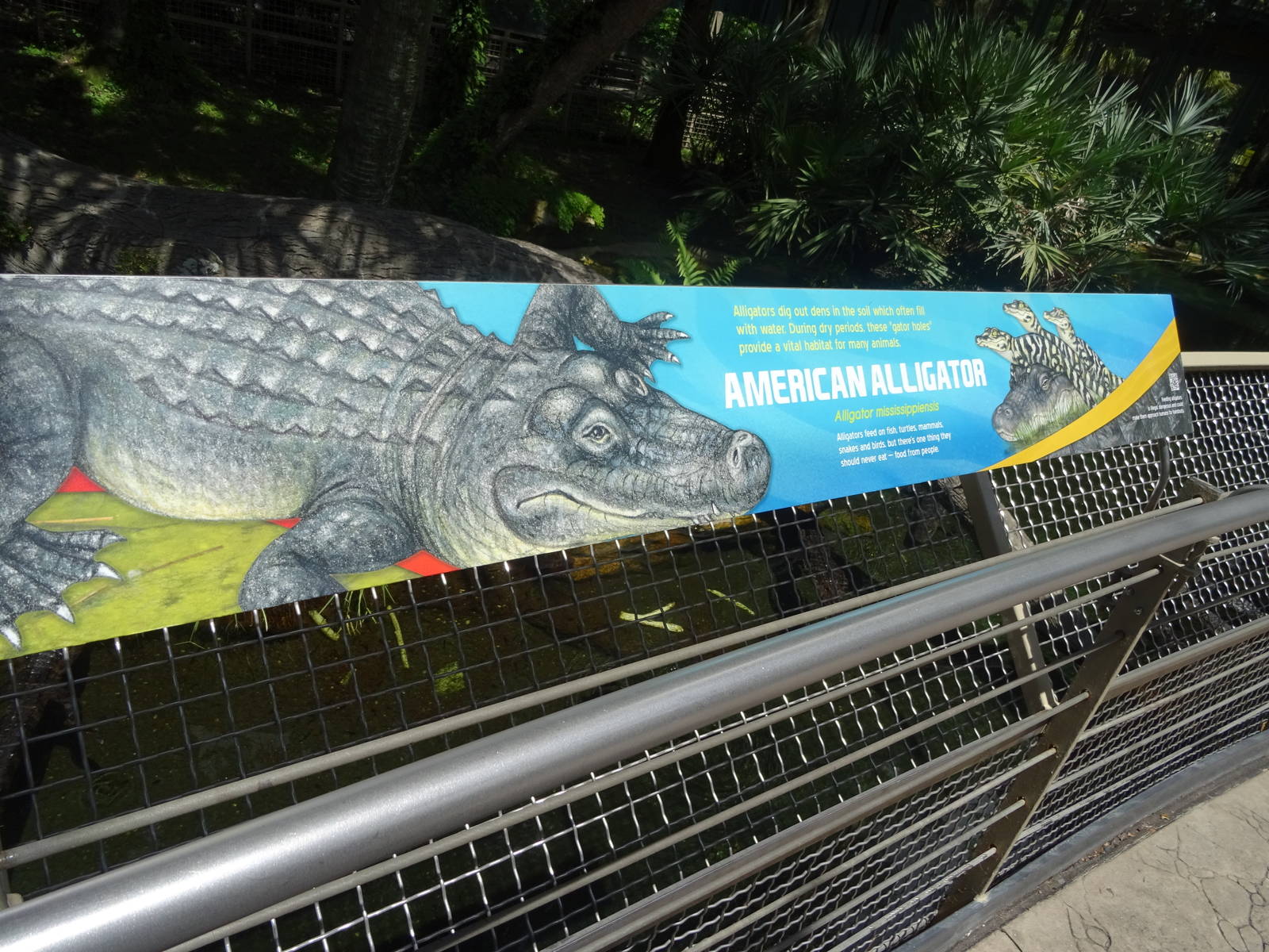 American Alligator Sign at SeaWorld Orlando