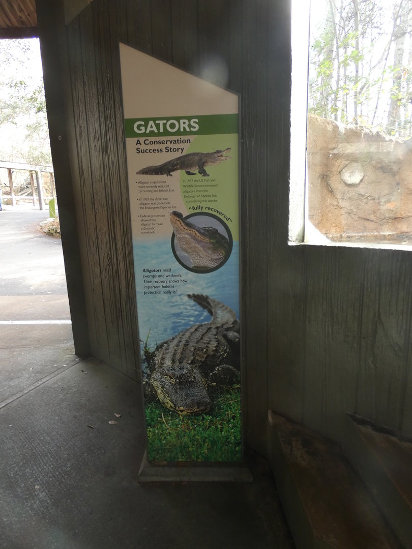 American Alligator Signage