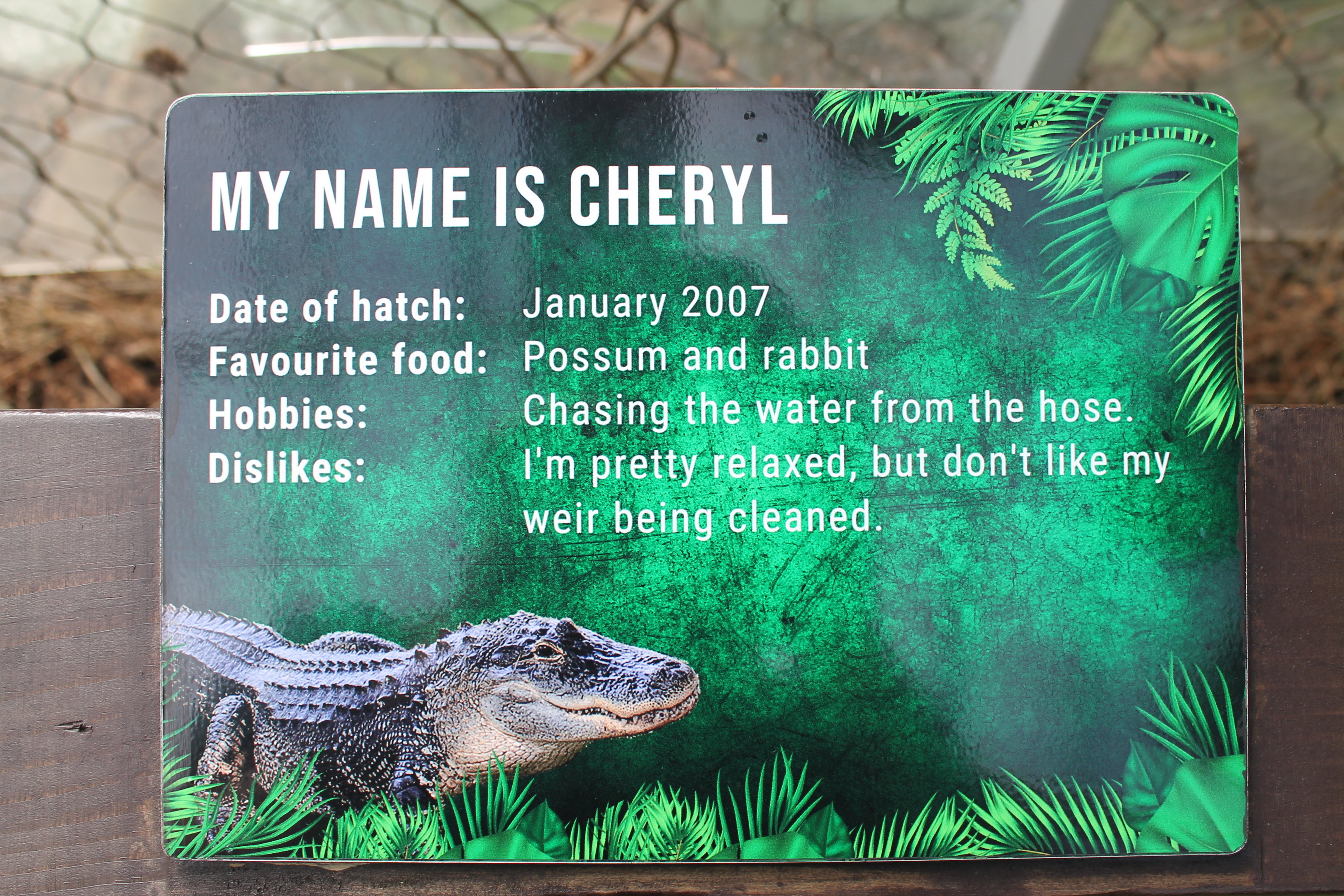 American Alligator signage