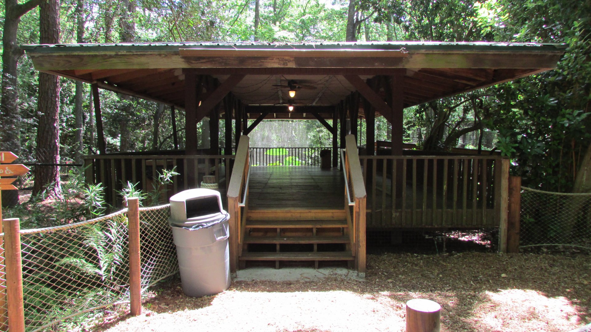 American Alligator Viewing Area