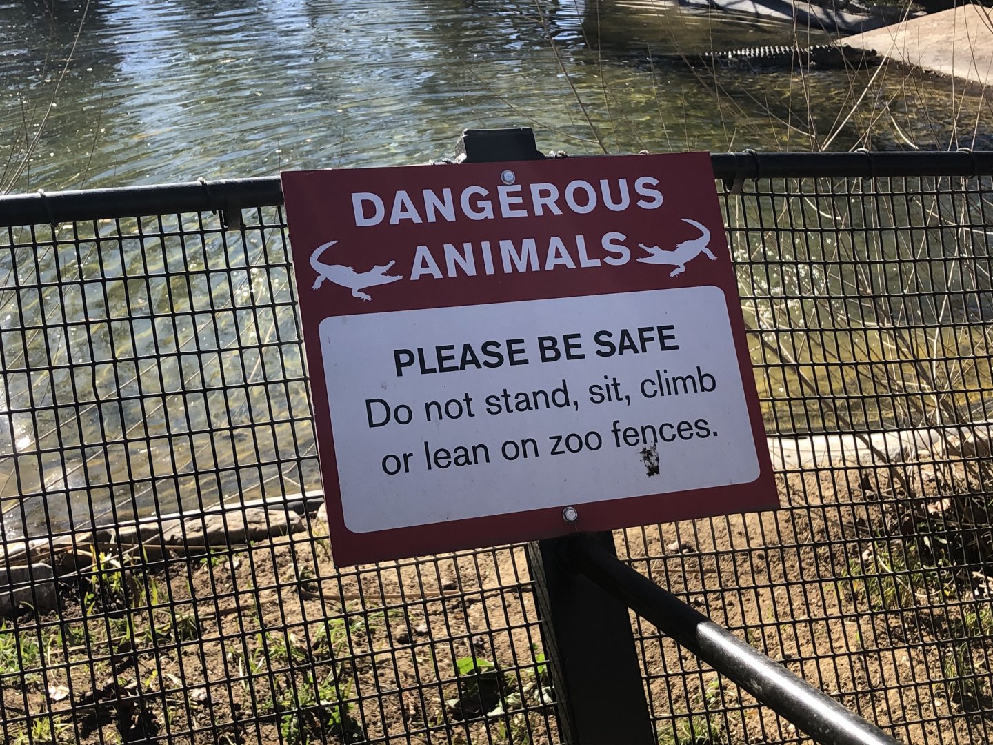 American alligator warning sign