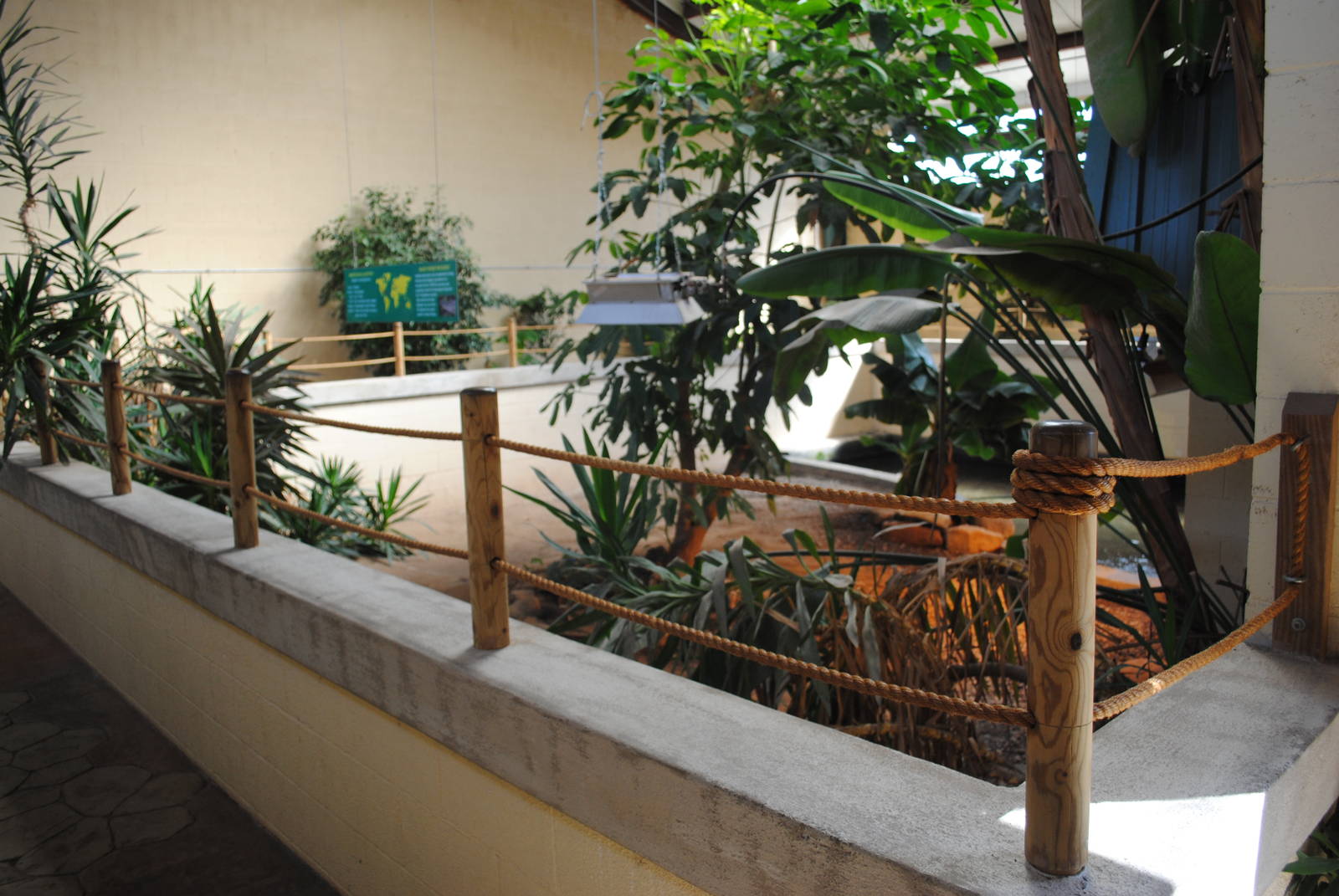 American Alligators Exhibit (indoors only)