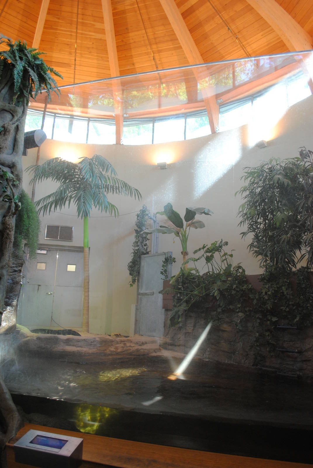 American Alligators exhibit