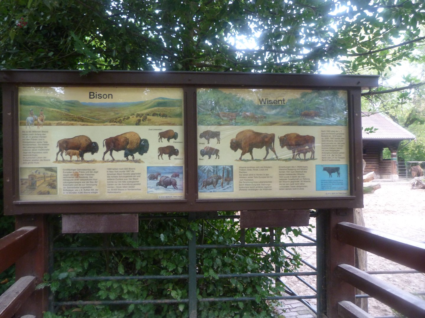 American and European bison signs -Zoologischer Garten Berlin (2024)