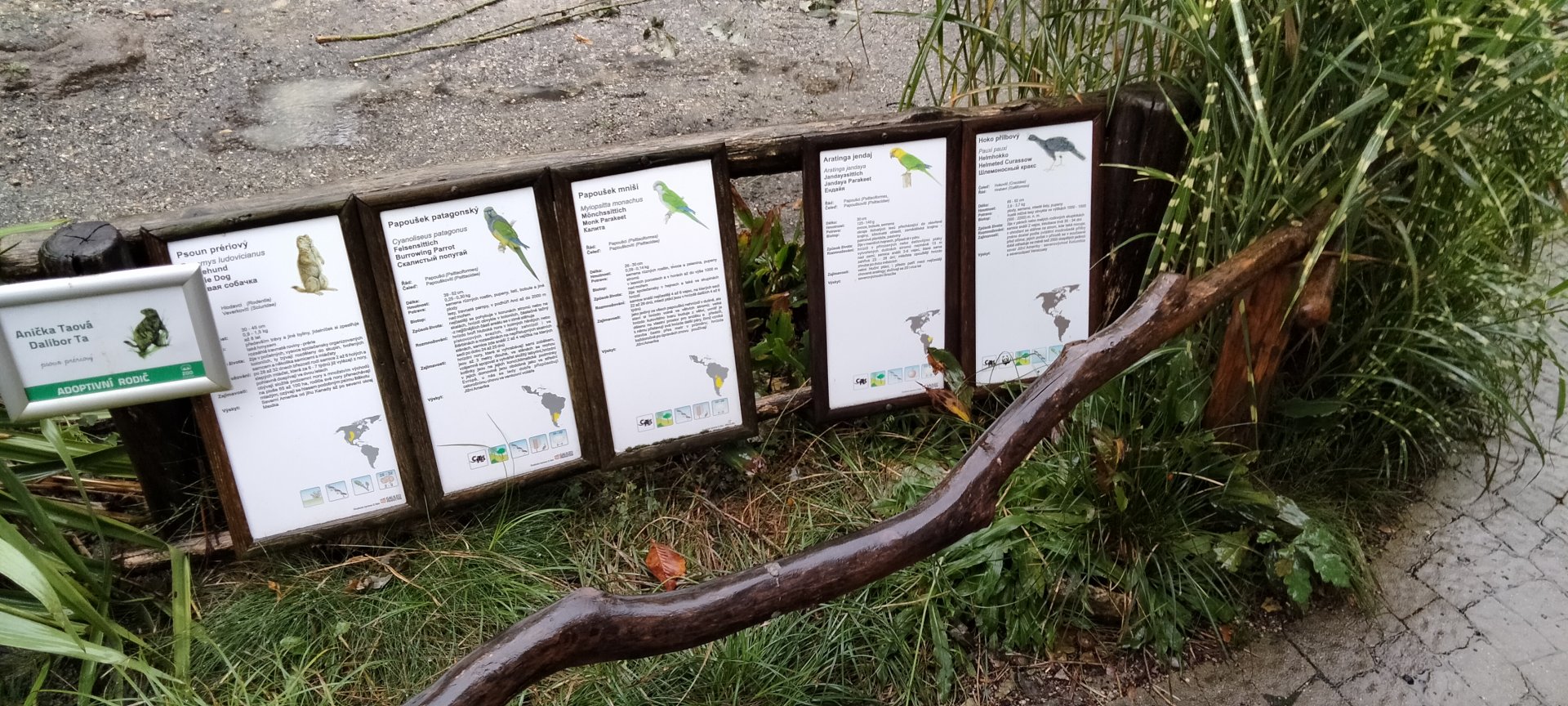 American aviary signage