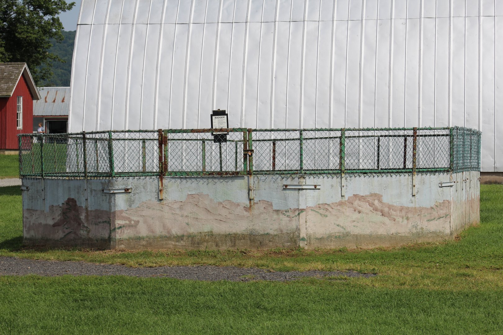 American Badger Enclosure
